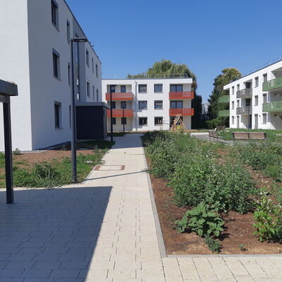 Die Neubauten in der Arkansasstraße